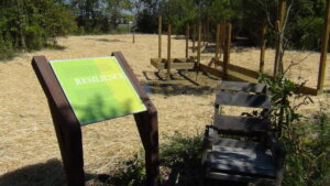 A bench sits on a platform, facing away from the vernal pool area. 