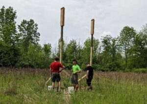 Three individuals standing in a field in foreground. In background, two tall, slim bat houses on posts.
