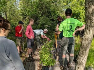 Three bout scout troop members working to fill brown yard waste paper bags. One is opening a new bag while another individual stuffs invasive plants into a nearly full bag.