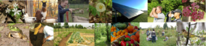 Composite image of white Shepherd's Corner Barn, llama, people engaged in learning outdoors, solar panels, a frog, and white flowers.